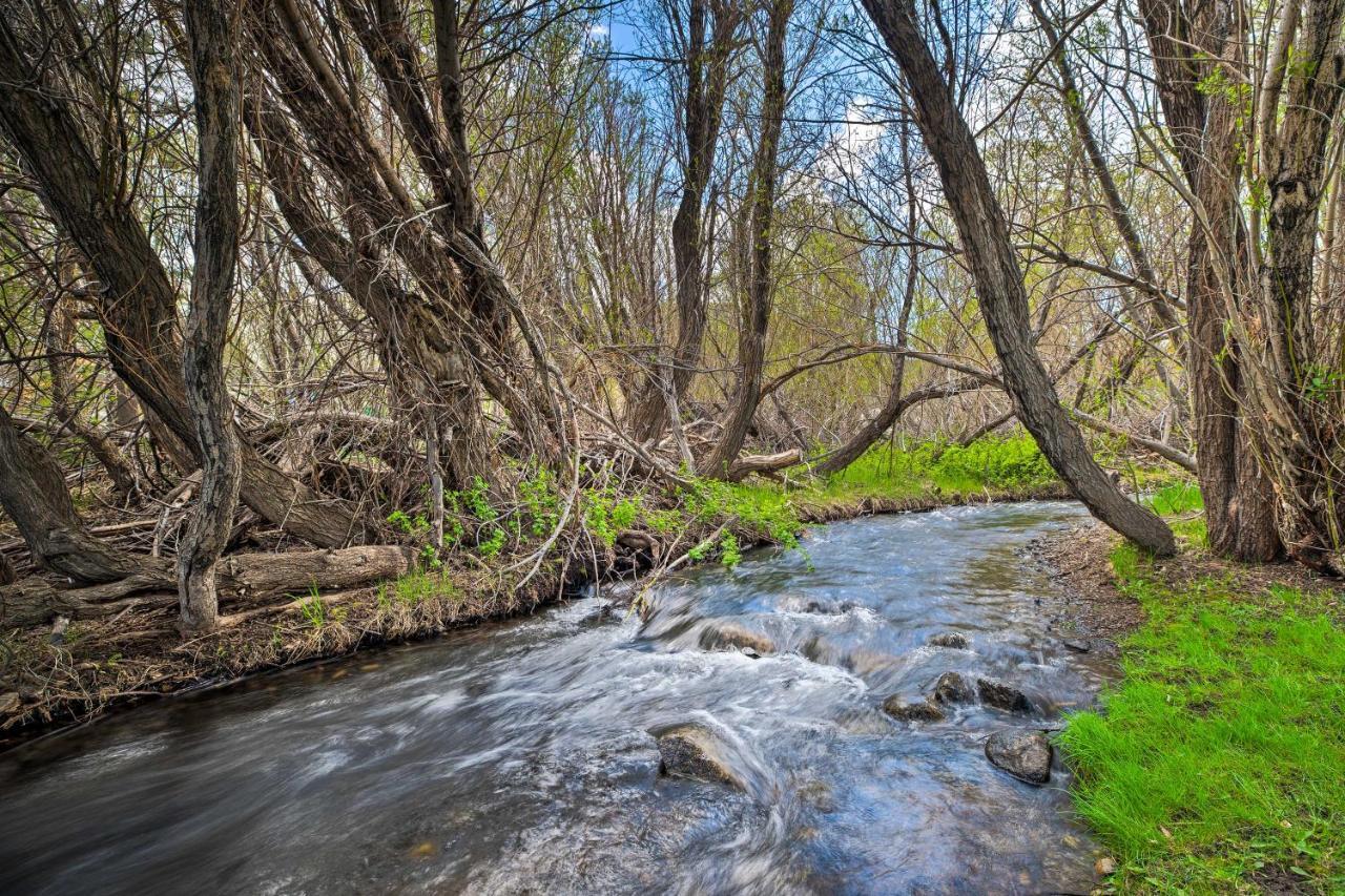 Mammoth Lakes Nature Escape Hot Tub Access! Ngoại thất bức ảnh